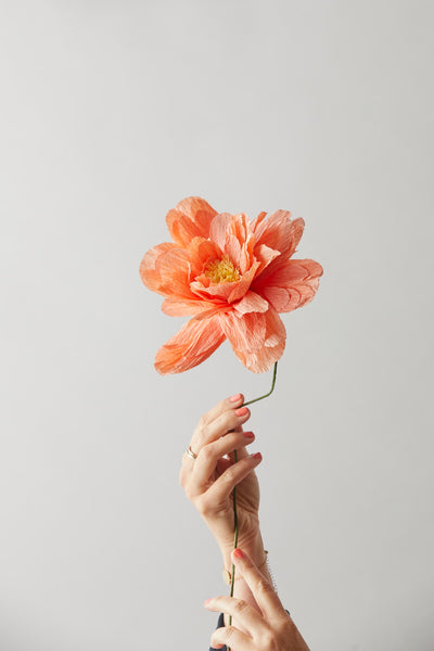 PAPER FLOWER, GRAND PEONY, PEACH