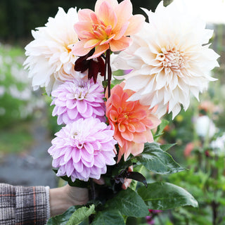 DANSKE BLOMSTER OG BLOMSTERBØNDER