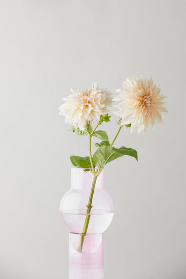 BUBBLE TUBE, LARGE, ROSE
