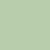PAPER FLOWER, ROSA LA PALOMA GRANDE, MINT