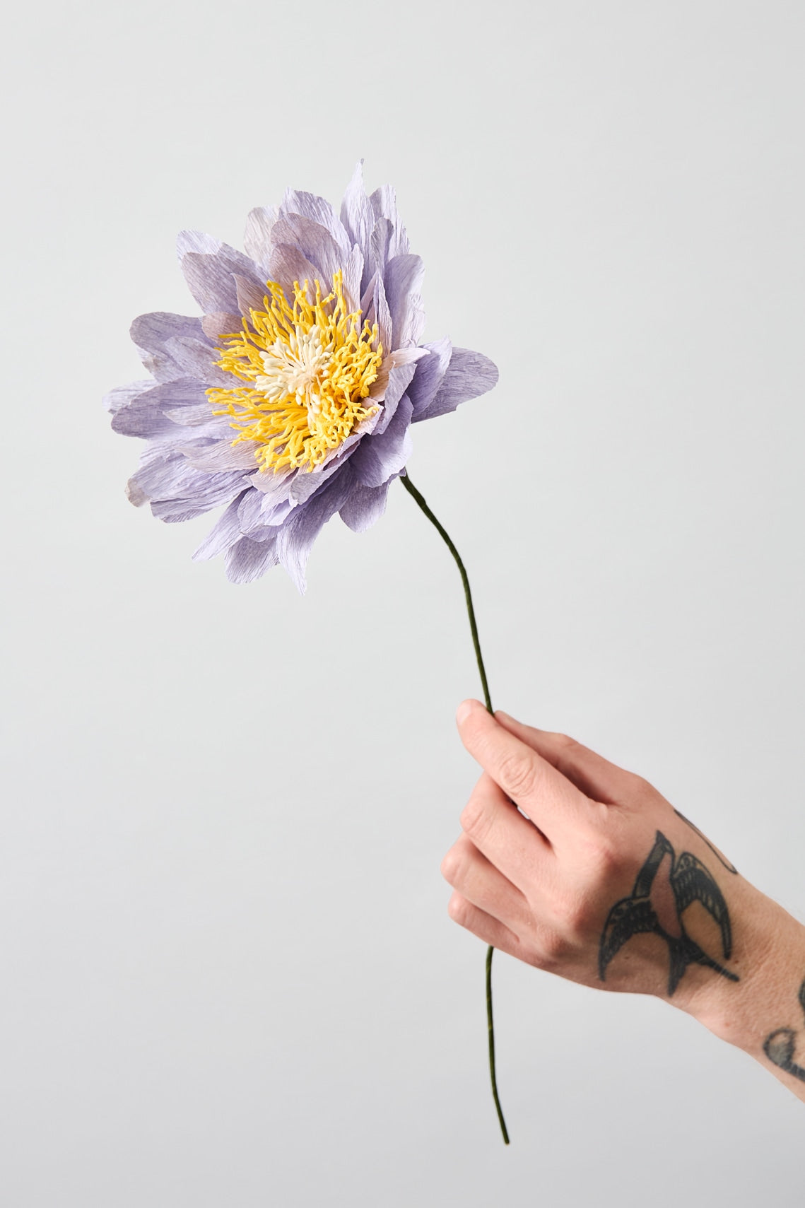 PAPER FLOWER, COTTAGE ROSE, PURPLE