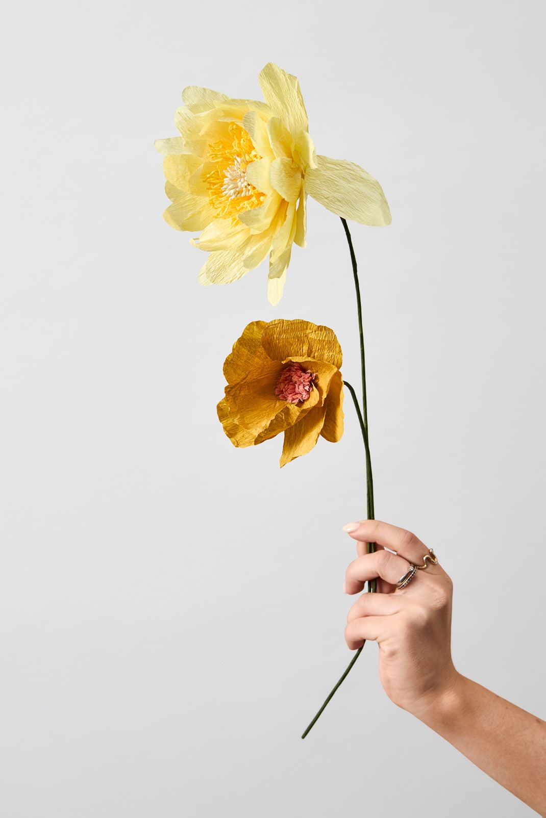 PAPER FLOWER, COTTAGE ROSE, YELLOW