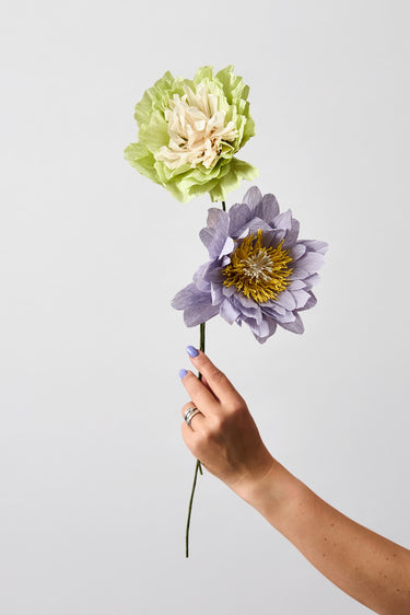 PAPER FLOWER, COTTAGE ROSE, PURPLE