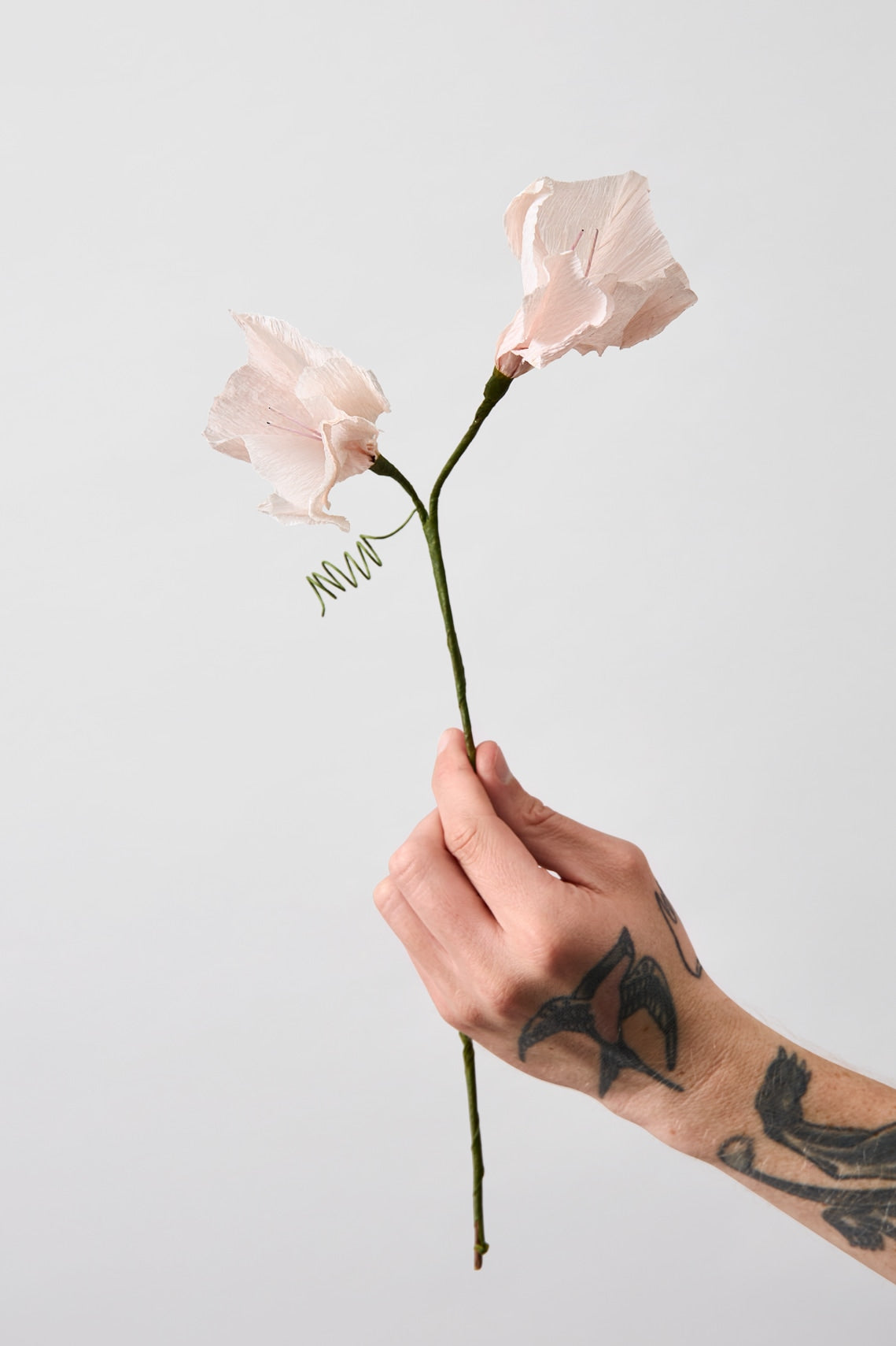 PAPER FLOWER, MORNING GLORY, ROSE