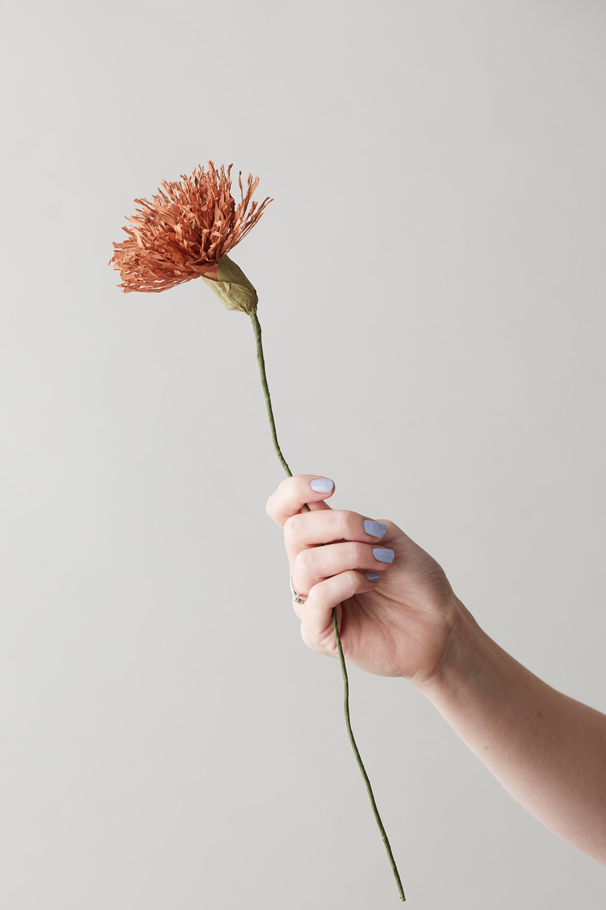 PAPER FLOWER, CHRYSANTHEMUM, DARK OCHRE