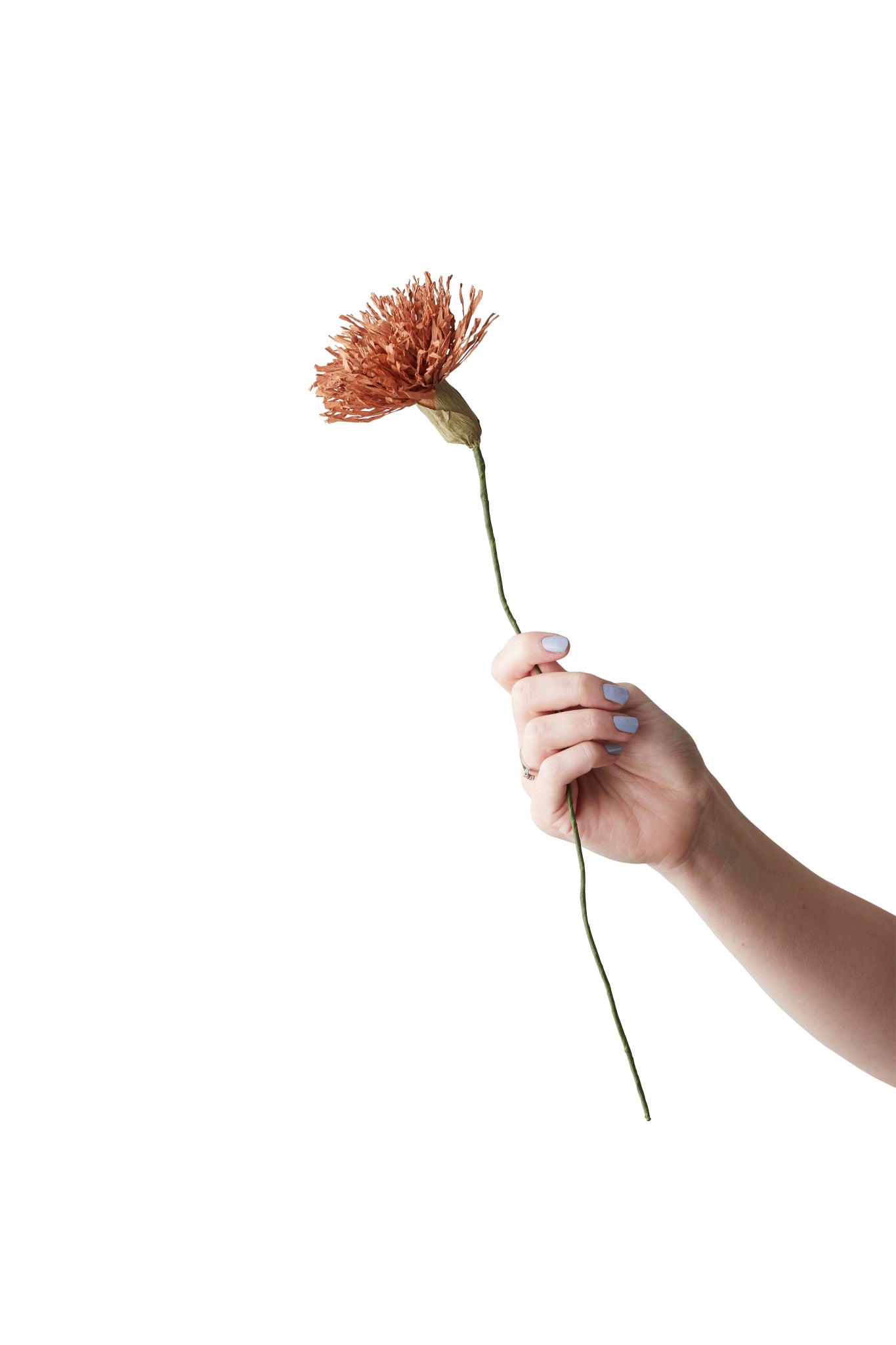 PAPER FLOWER, CHRYSANTHEMUM, DARK OCHRE