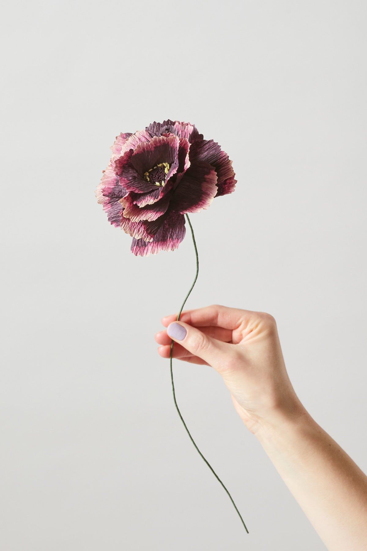 PAPER FLOWER, PEONY, AUBERGINE, 120420A