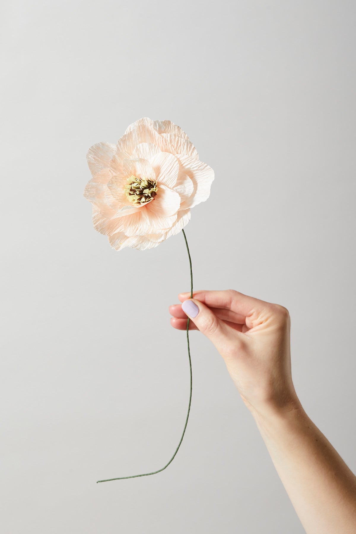 PAPER FLOWER, POPPY, NUDE