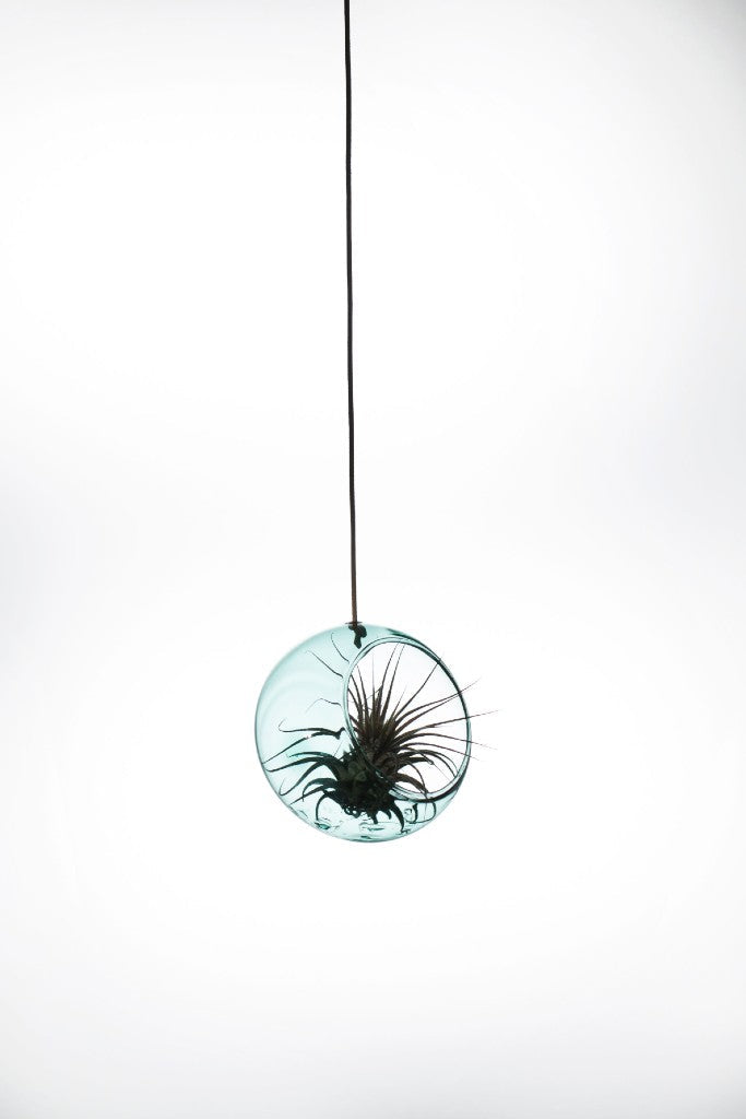 HANGING PLANT BUBBLE, SMALL, CYAN