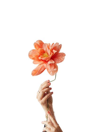 PAPER FLOWER, GRAND PEONY, PEACH
