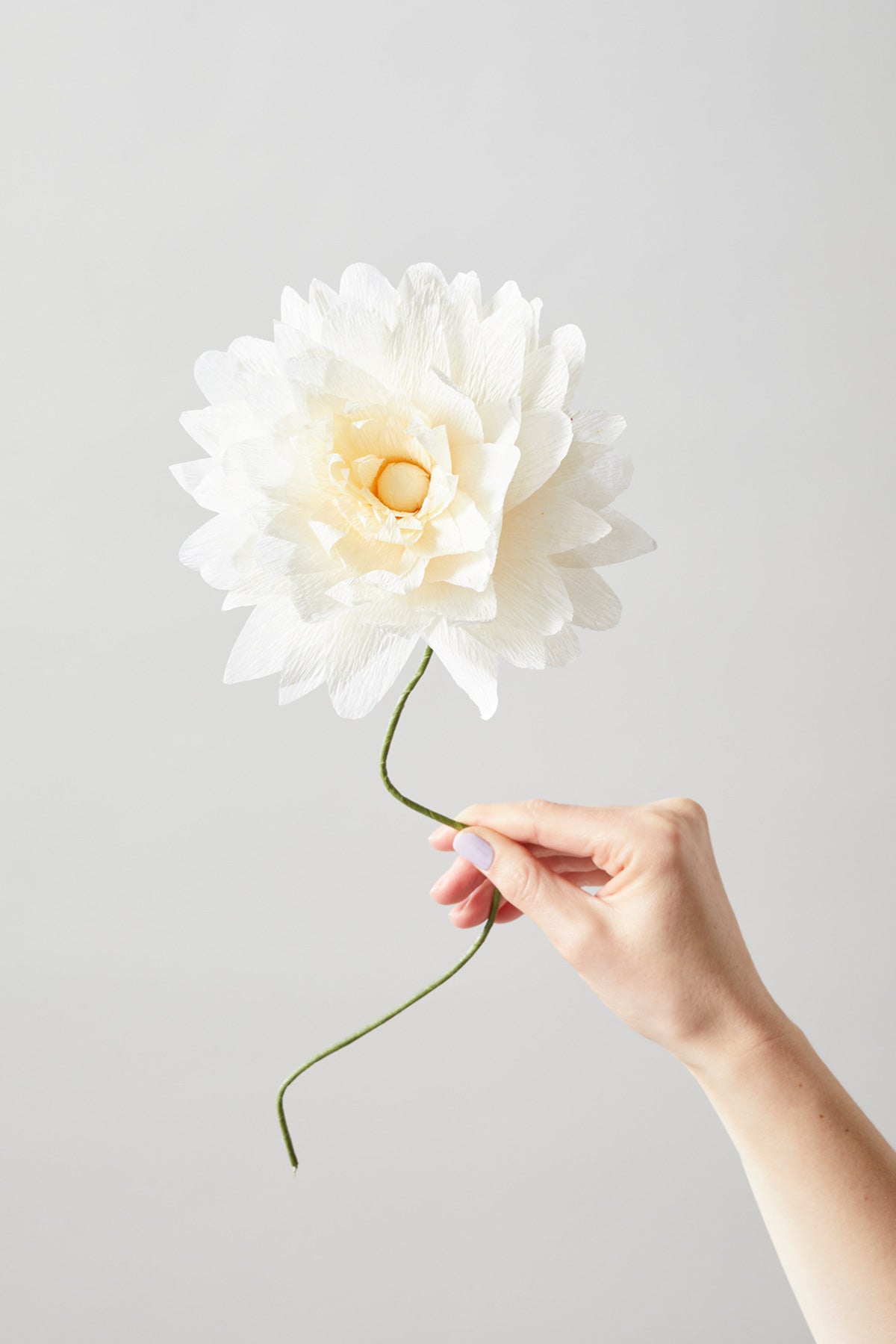 PAPER FLOWER, GRAND DAHLIA, SAND, 160460S