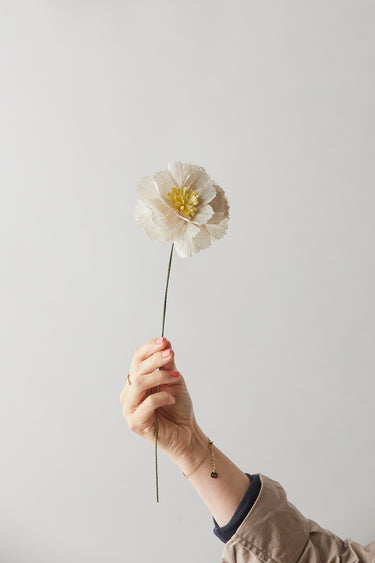 PAPER FLOWER, PEONY, GREY