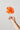 PAPER FLOWER, POPPY, RED, 130430R