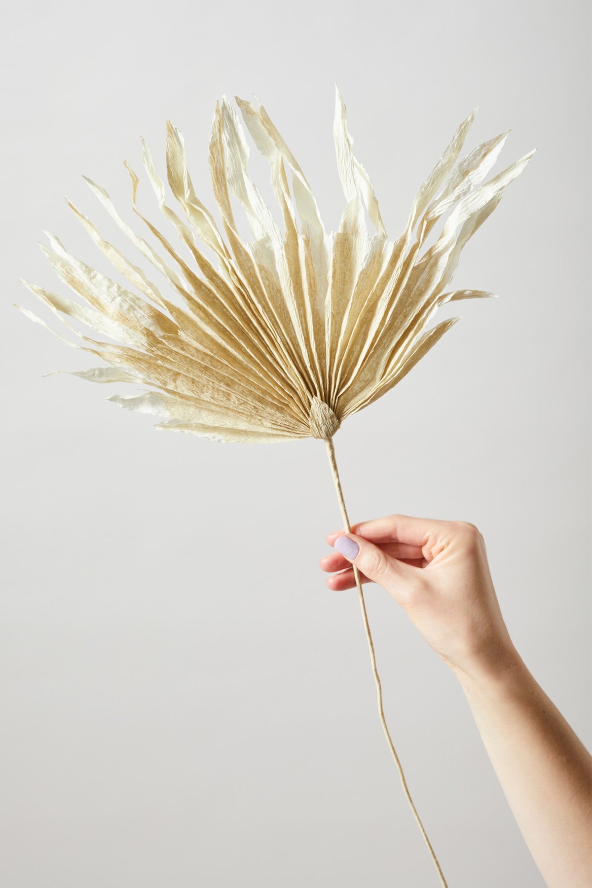 PAPER FLOWER, PALM, SAND