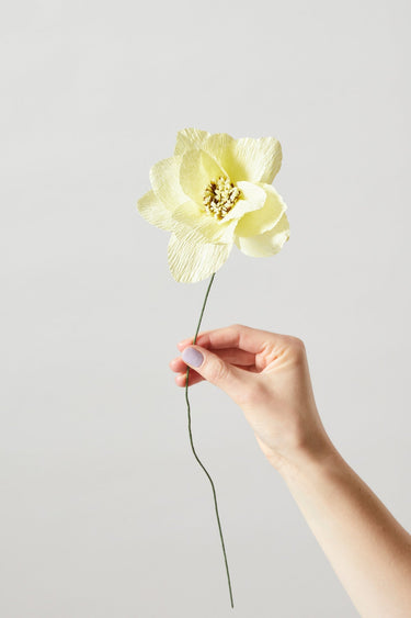 PAPER FLOWER, DAHLIA, YELLOW