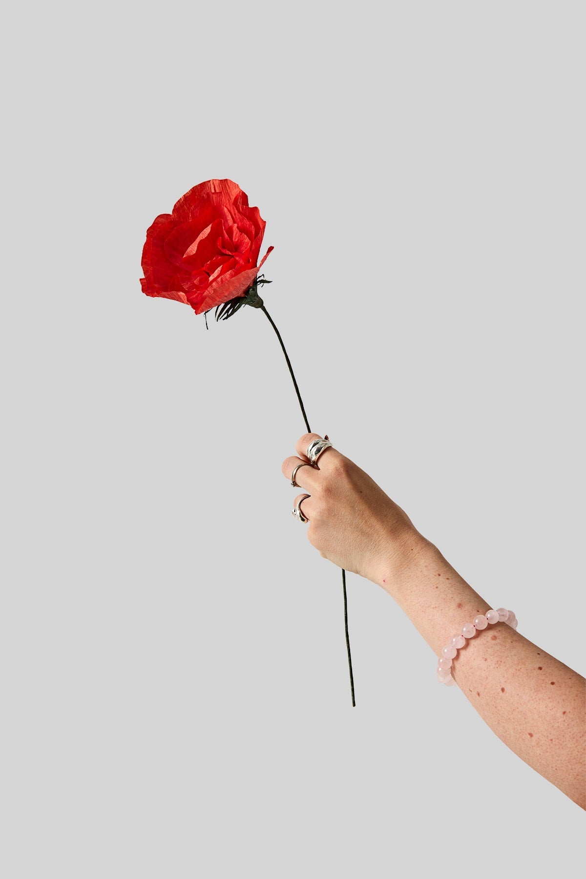 PAPER FLOWER, OLD SCHOOL ROSE, BRIGHT RED