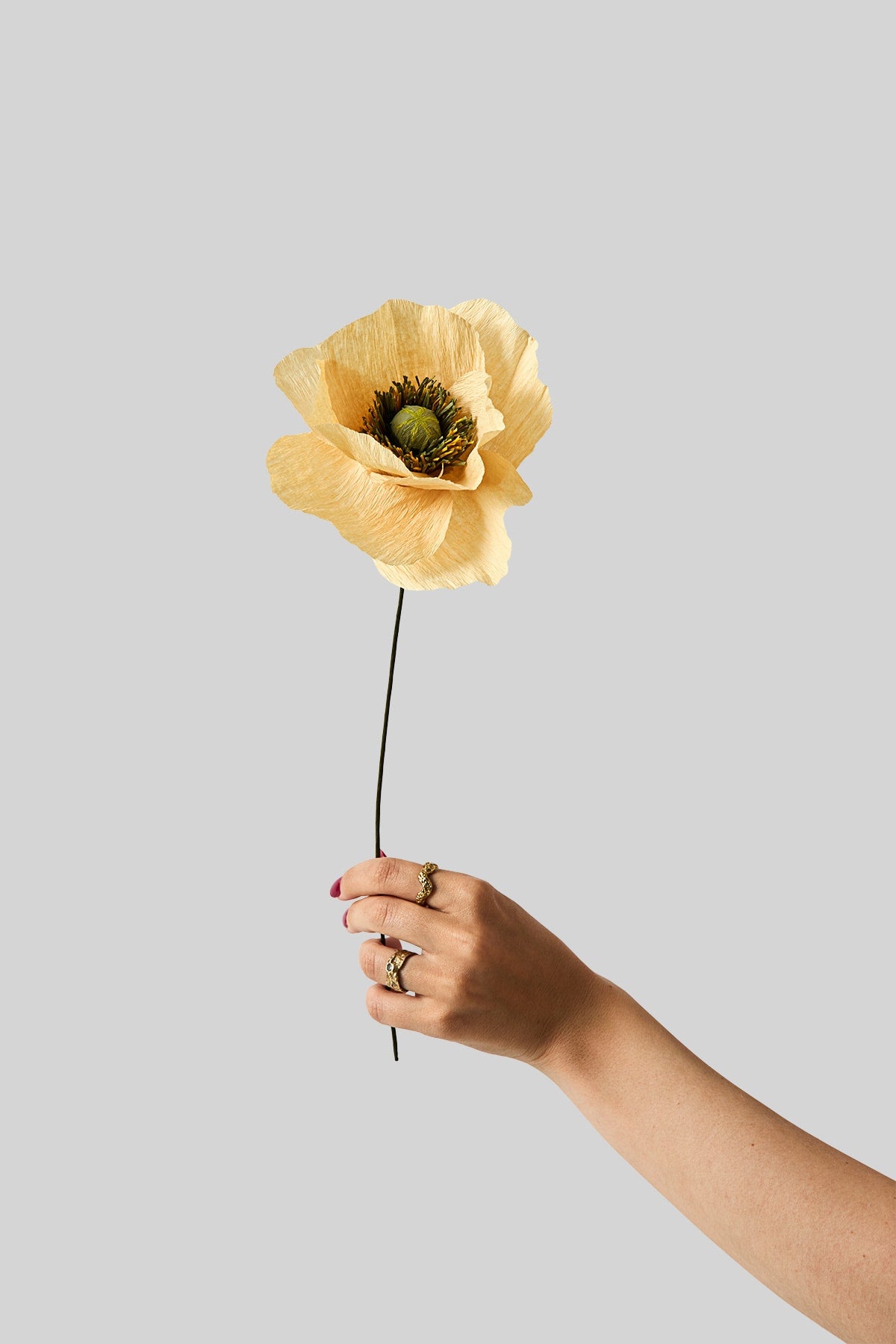 PAPER FLOWER, PAPAVER, SOFT PEACH