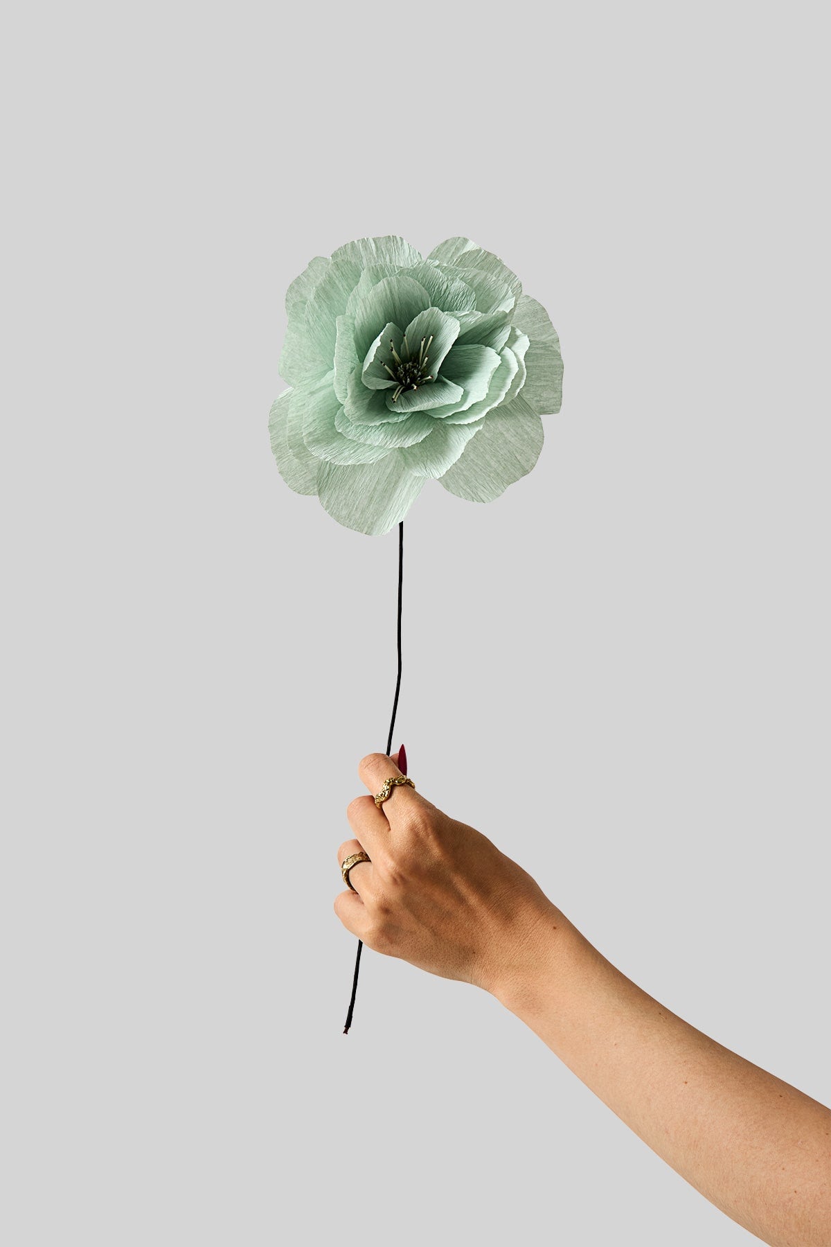 PAPER FLOWER, ROSA LA PALOMA GRANDE, MINT