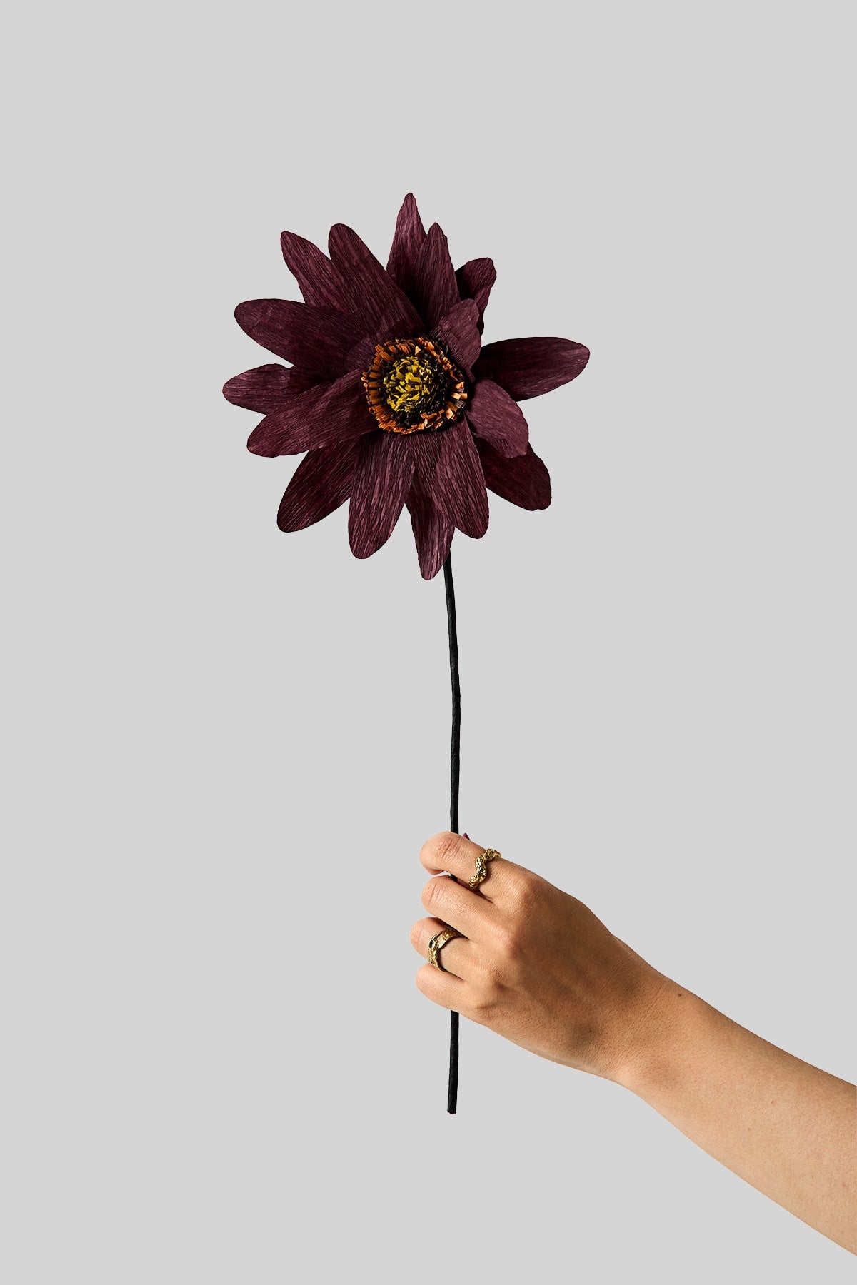 PAPER FLOWER, SUNFLOWER, BORDEAUX