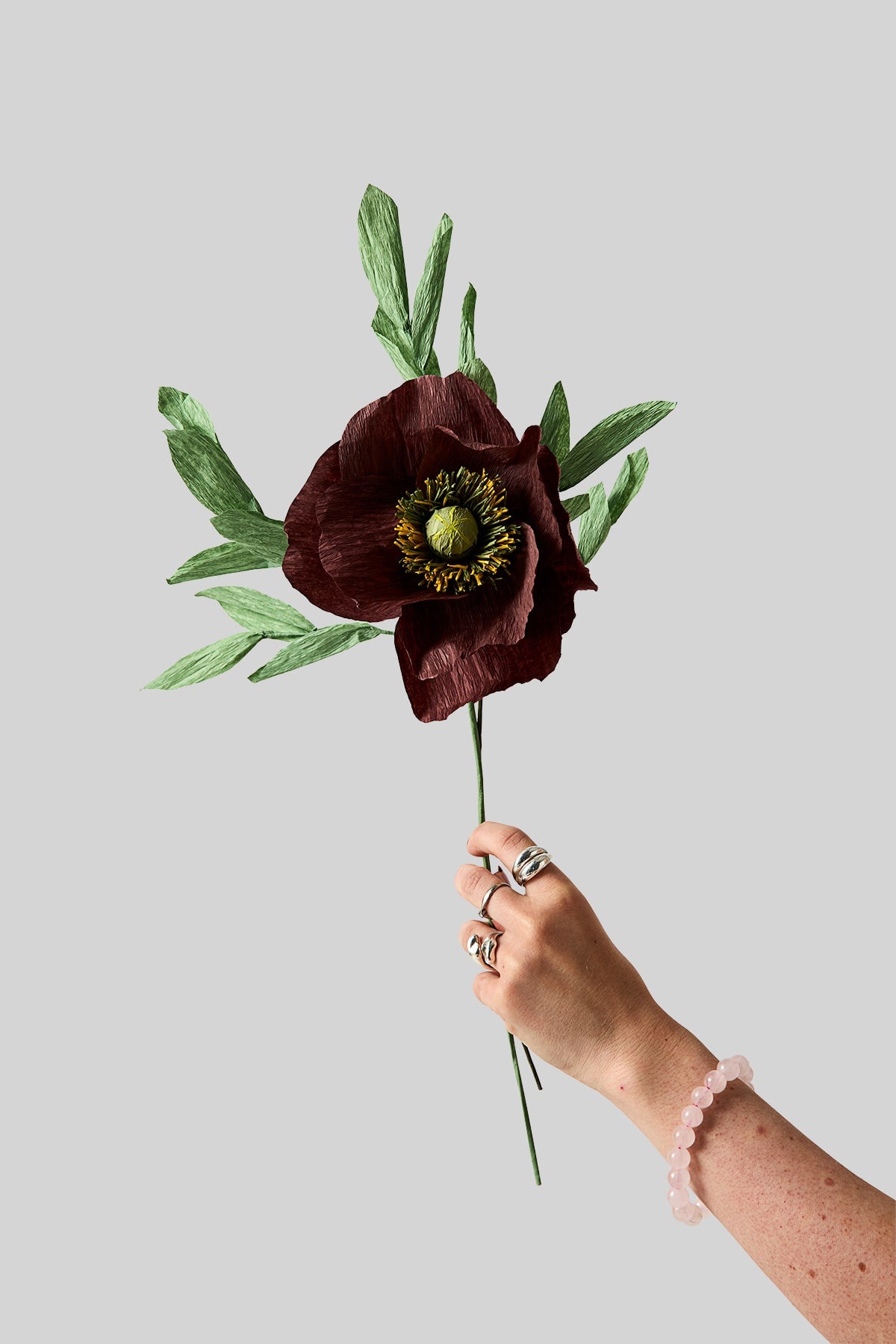 PAPER FLOWER, PAPAVER, BROWN