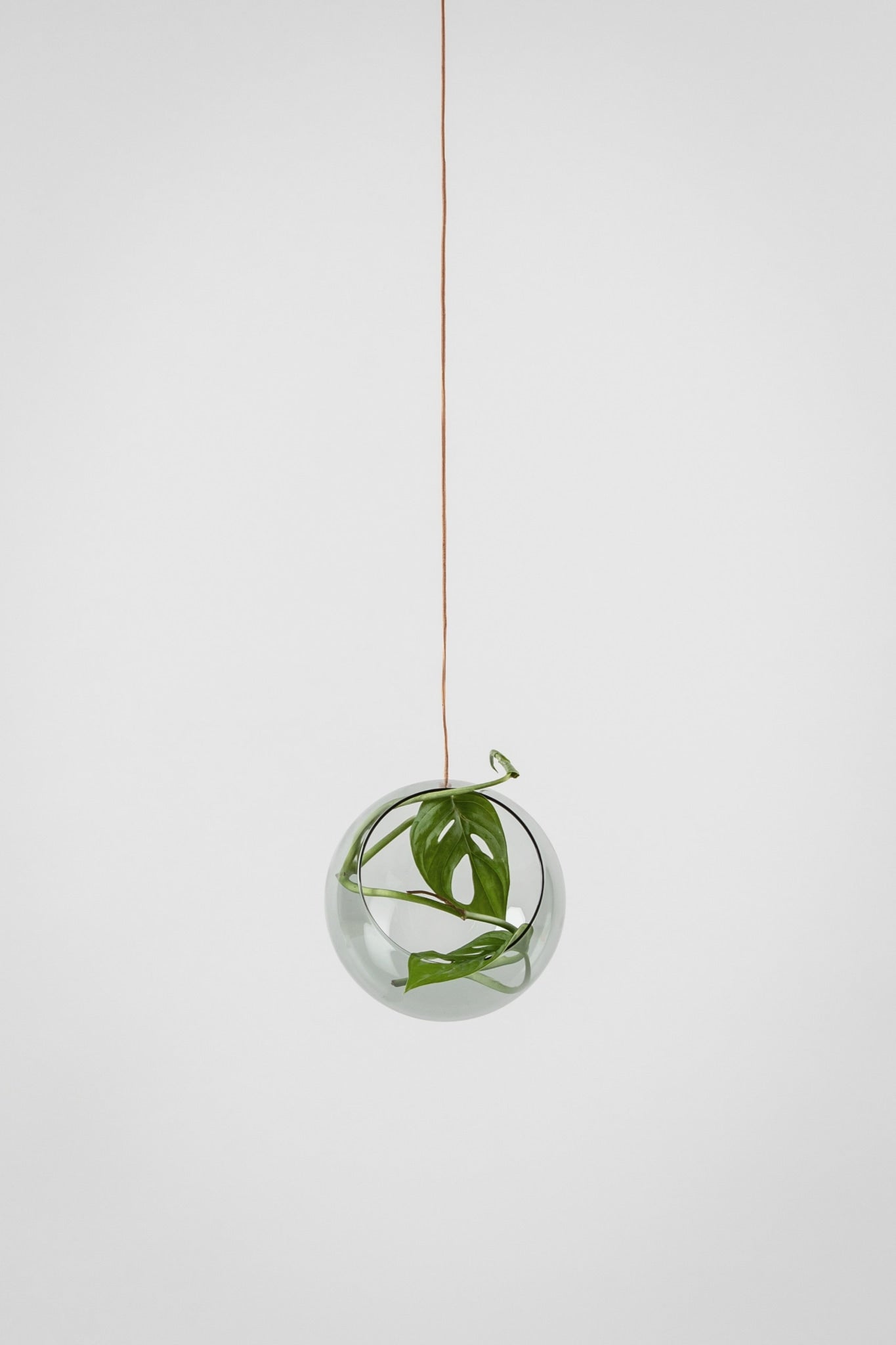 HANGING PLANT BUBBLE, MEDIUM, SMOKE