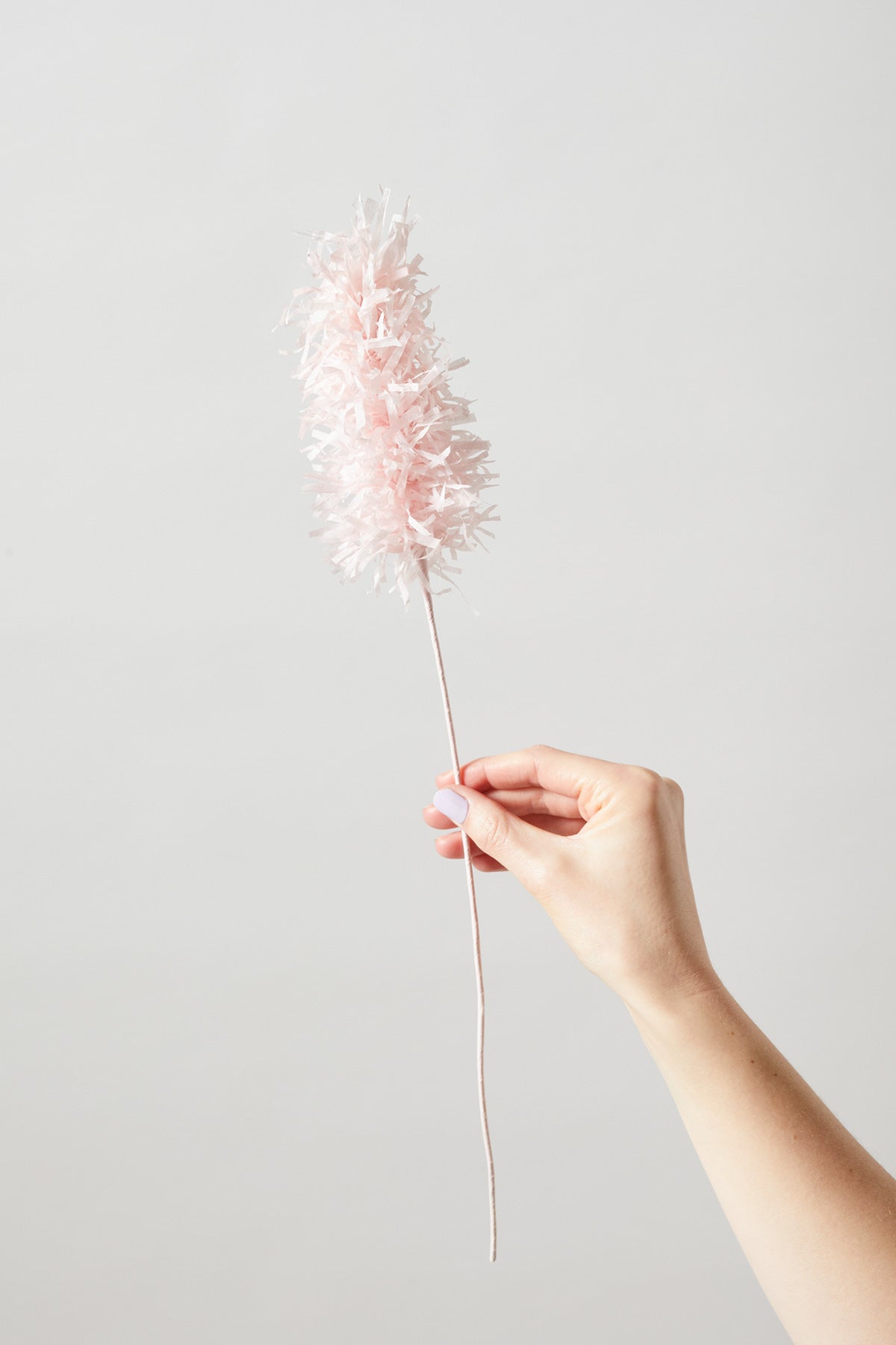 PAPER FLOWER, PAMPAS, ROSE