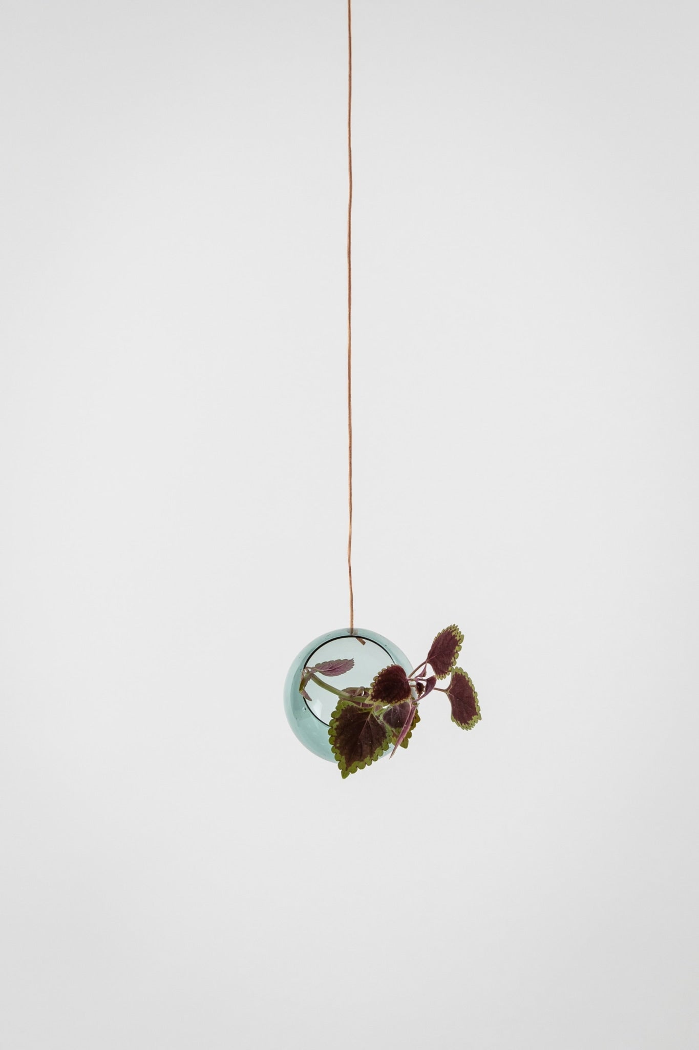 HANGING PLANT BUBBLE, SMALL, CYAN