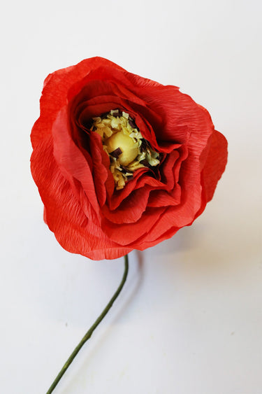 PAPER FLOWER, ICE POPPY, BRIGHT RED
